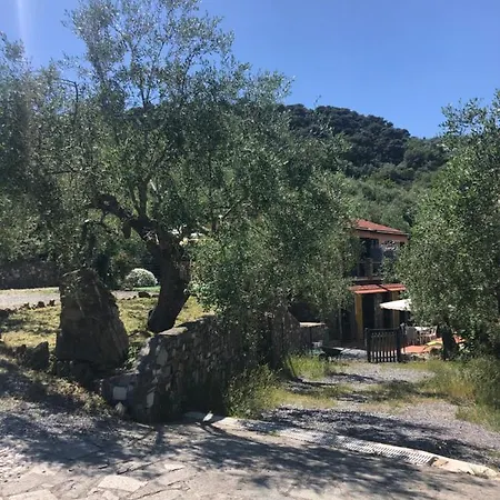 Ca Di Matti - Casa Oliva * Diano Borello