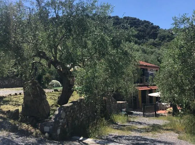 Ca Di Matti - Casa Oliva * Diano Borello